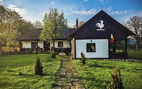Pensiunea Cocoș
